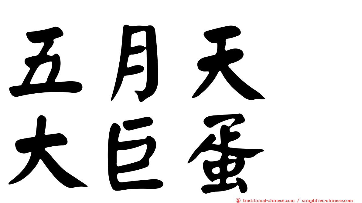 五月天　大巨蛋